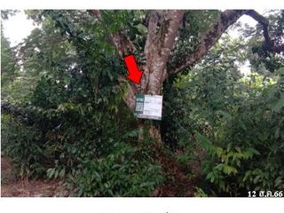 Terreno en venta en Khao Khitchakut, Chanthaburi