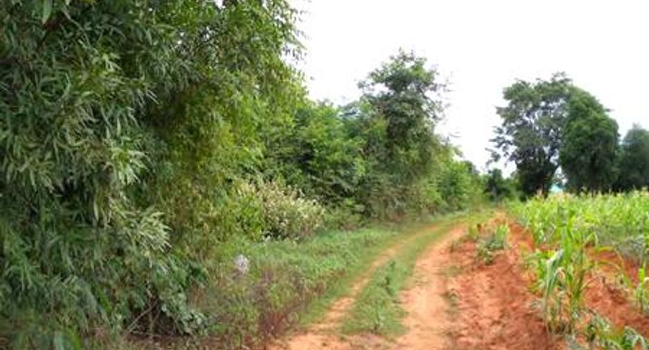 出售 土地 在 Chom Bueng, Ratchaburi