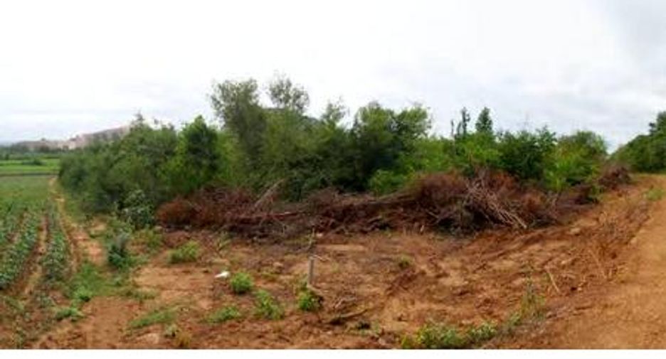 出售 土地 在 Chom Bueng, Ratchaburi