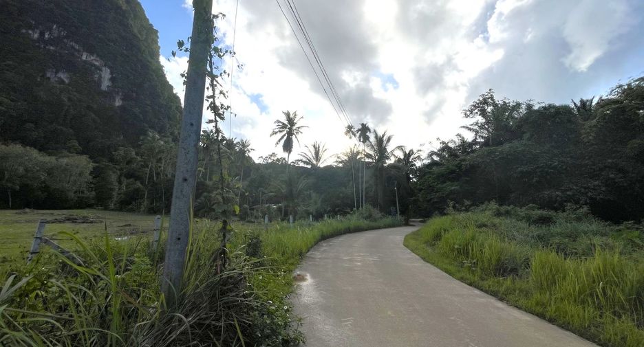 ขาย ที่ดิน ใน เมืองกระบี่, กระบี่