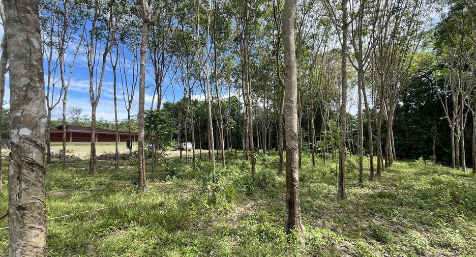Grundstück zum Kauf in Mueang Krabi, Krabi