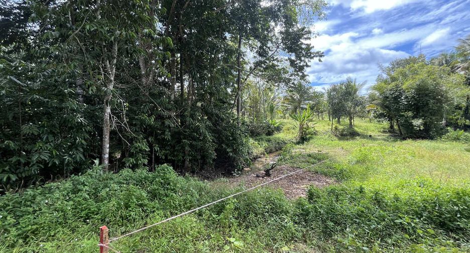 Grundstück zum Kauf in Mueang Krabi, Krabi