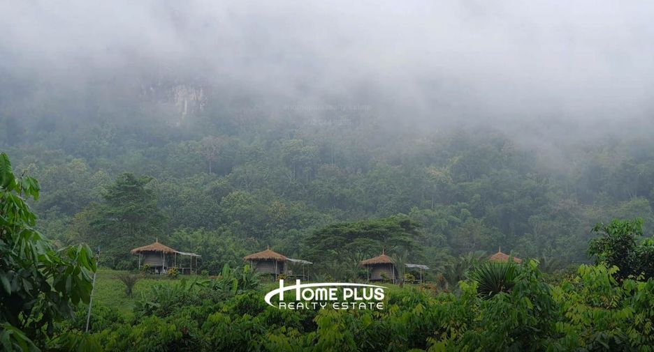 For sale land in Chai Prakan, Chiang Mai