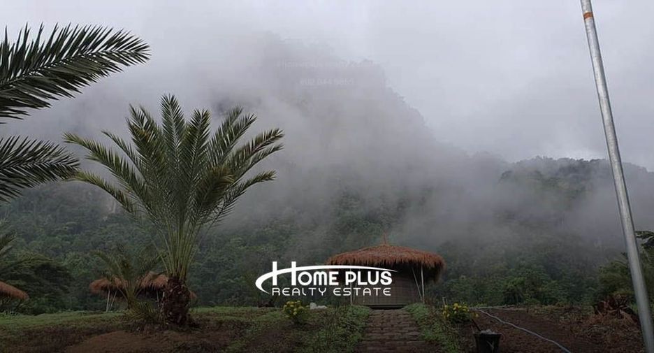 For sale land in Chai Prakan, Chiang Mai