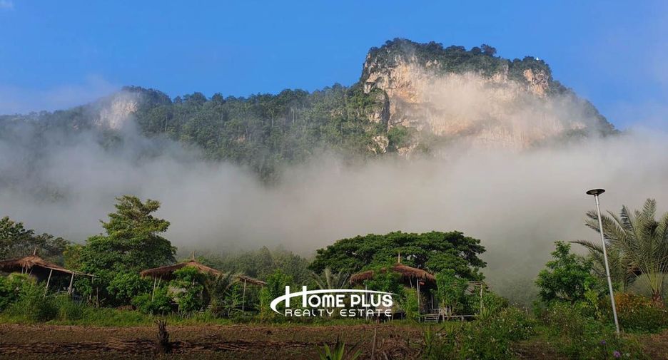 For sale land in Chai Prakan, Chiang Mai