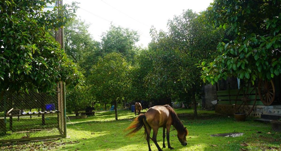 出售 3 卧室 独立屋 在 Mueang Rayong, Rayong