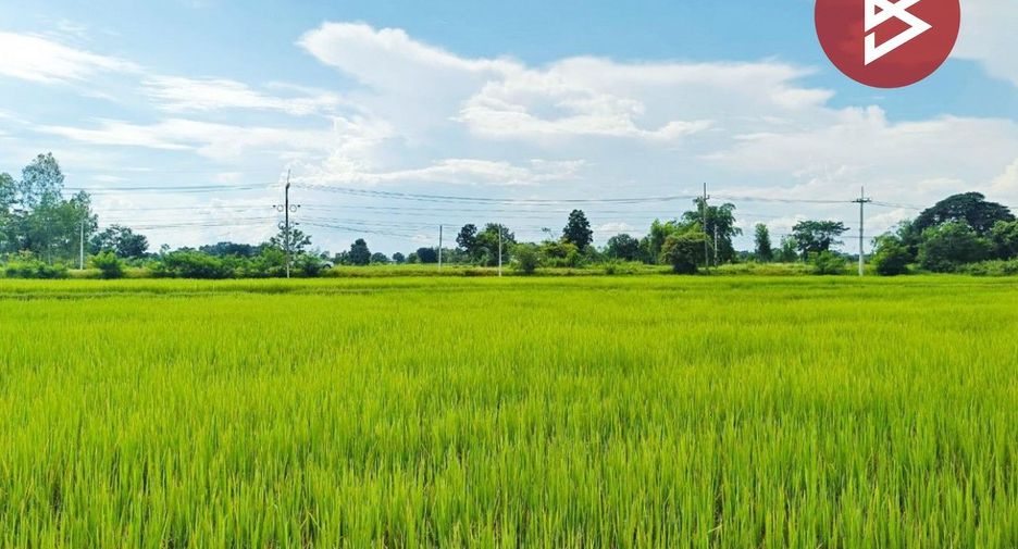 Terreno en venta en Yang Talat, Kalasin