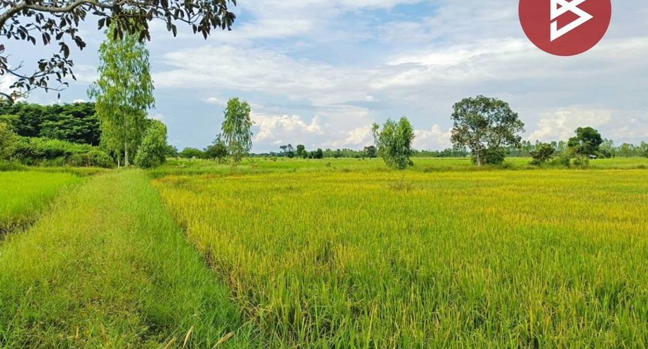 Terreno en venta en Yang Talat, Kalasin