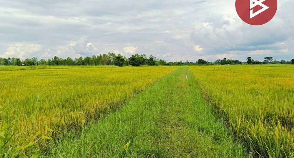 Terreno en venta en Yang Talat, Kalasin