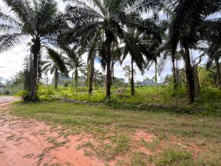 出售 土地 在 Mueang Krabi, Krabi