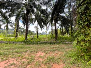 出售 土地 在 Mueang Krabi, Krabi