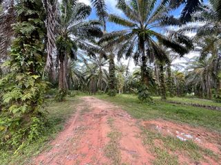 出售 土地 在 Mueang Krabi, Krabi