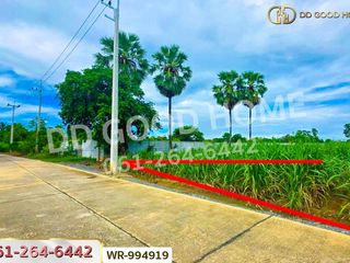 出售 土地 在 Song Phi Nong, Suphan Buri