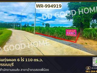 出售 土地 在 Song Phi Nong, Suphan Buri