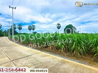 出售 土地 在 Song Phi Nong, Suphan Buri