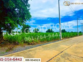出售 土地 在 Song Phi Nong, Suphan Buri