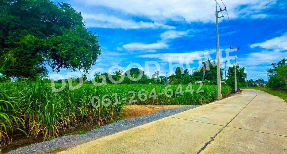 For sale land in Song Phi Nong, Suphan Buri