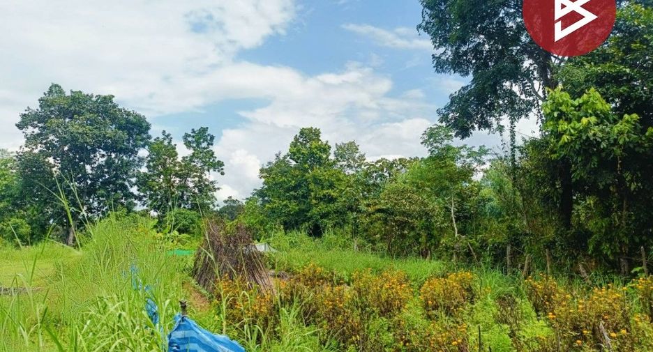 For sale land in Mueang Kalasin, Kalasin