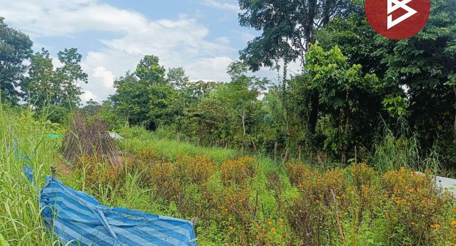 For sale land in Mueang Kalasin, Kalasin