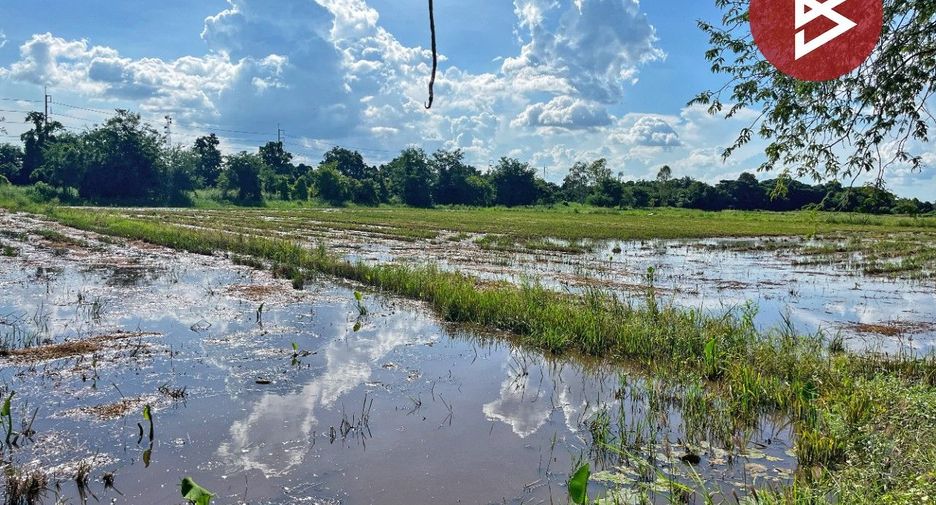 For sale land in Hankha, Chainat