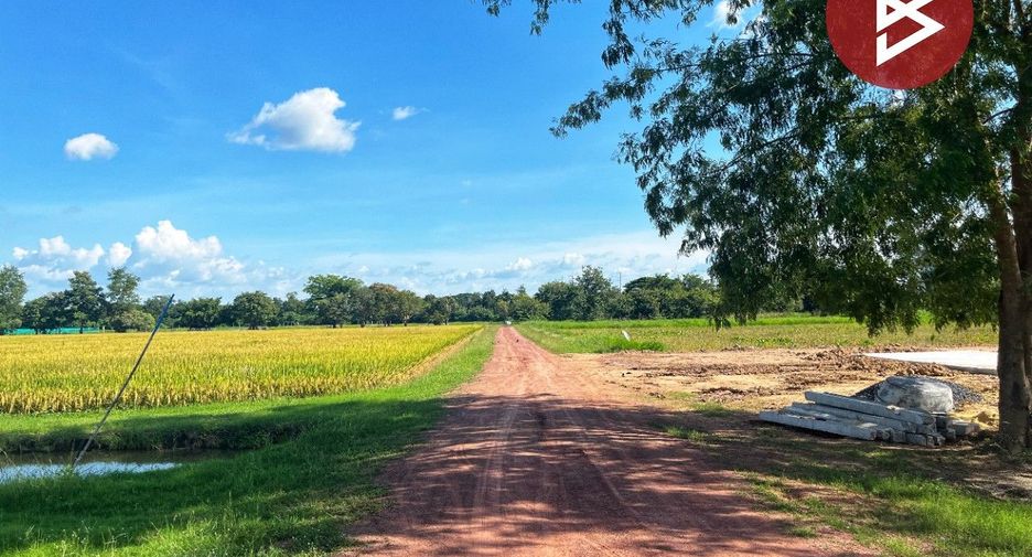 For sale land in Hankha, Chainat