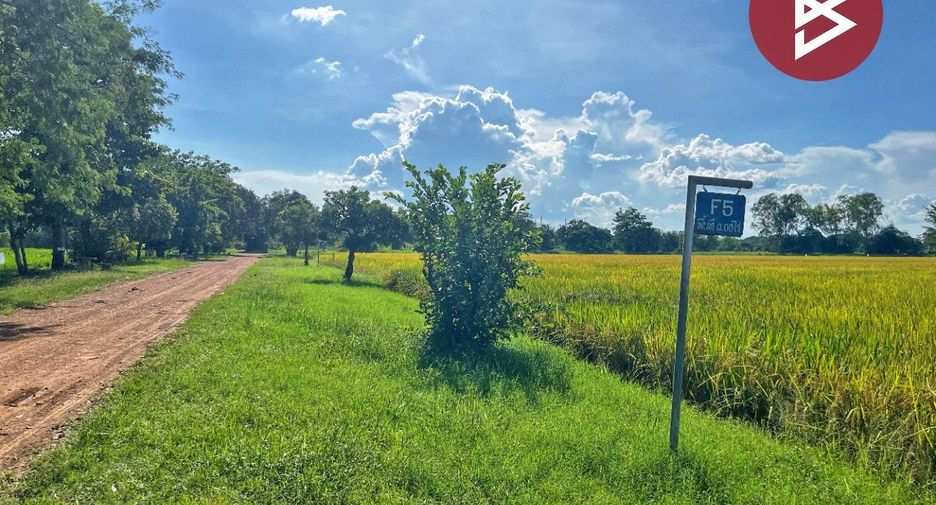 For sale land in Hankha, Chainat