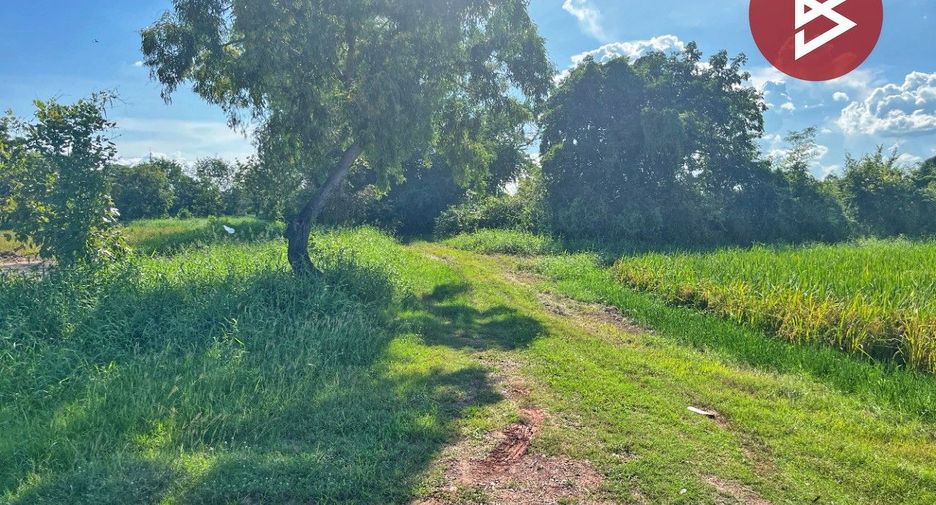 For sale land in Hankha, Chainat