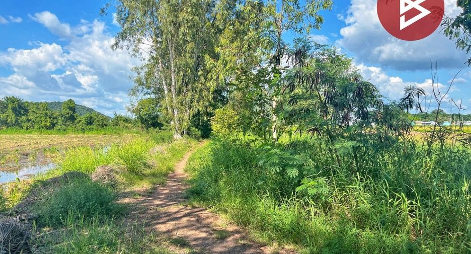 For sale land in Hankha, Chainat