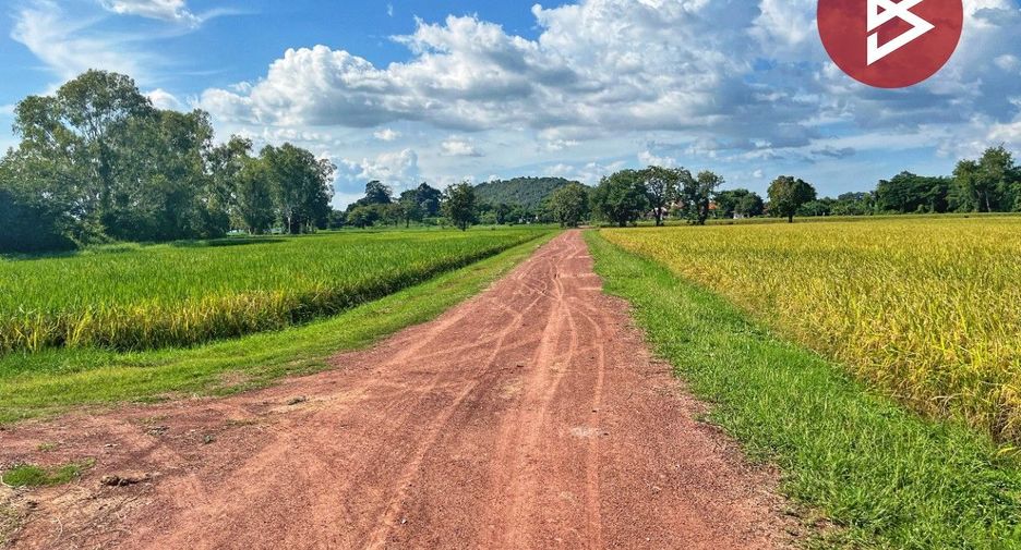 For sale land in Hankha, Chainat