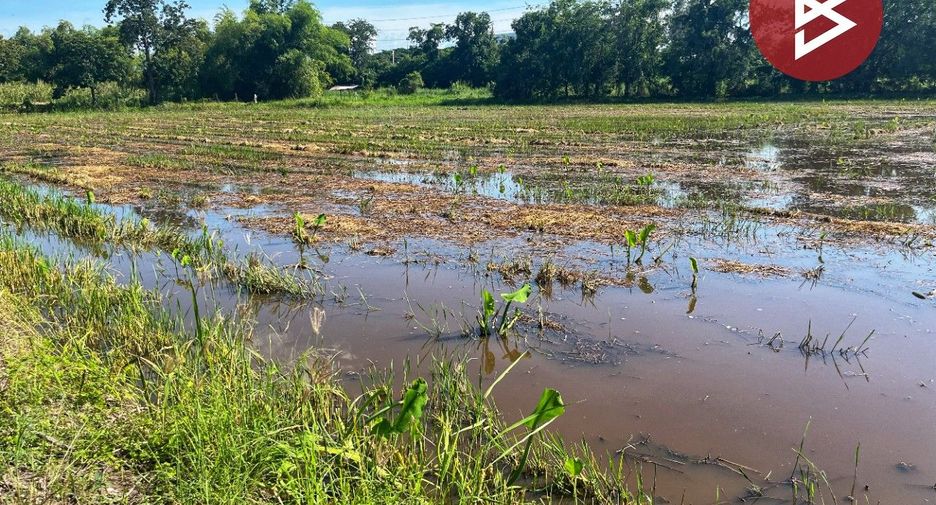 For sale land in Hankha, Chainat
