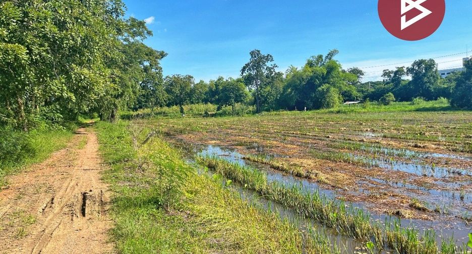 For sale land in Hankha, Chainat
