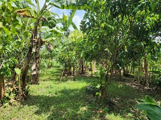For sale land in Doi Saket, Chiang Mai