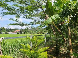 For sale land in Doi Saket, Chiang Mai