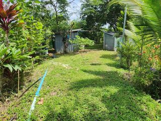 For sale land in Doi Saket, Chiang Mai