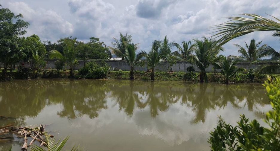 For sale land in Doi Saket, Chiang Mai