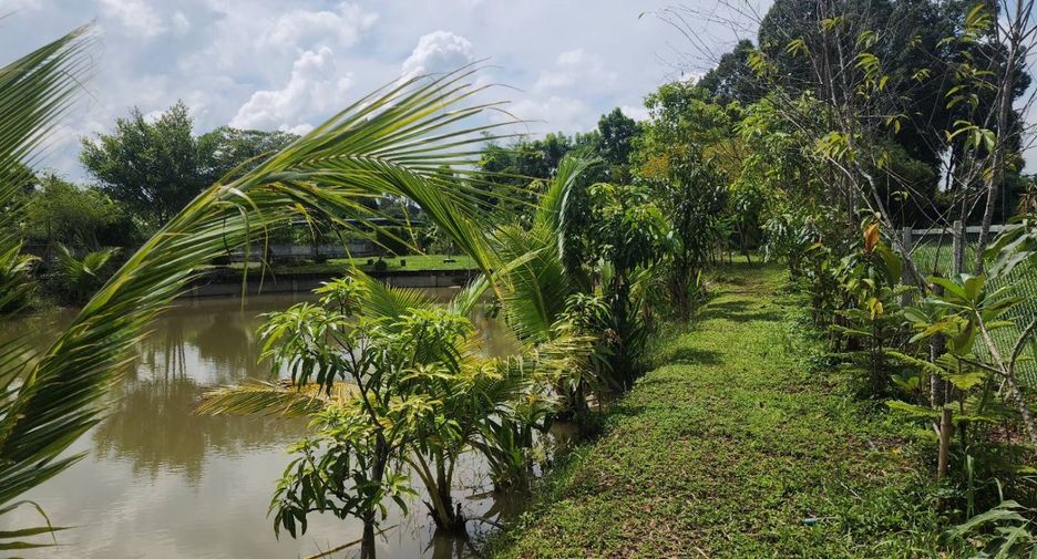 For sale land in Doi Saket, Chiang Mai