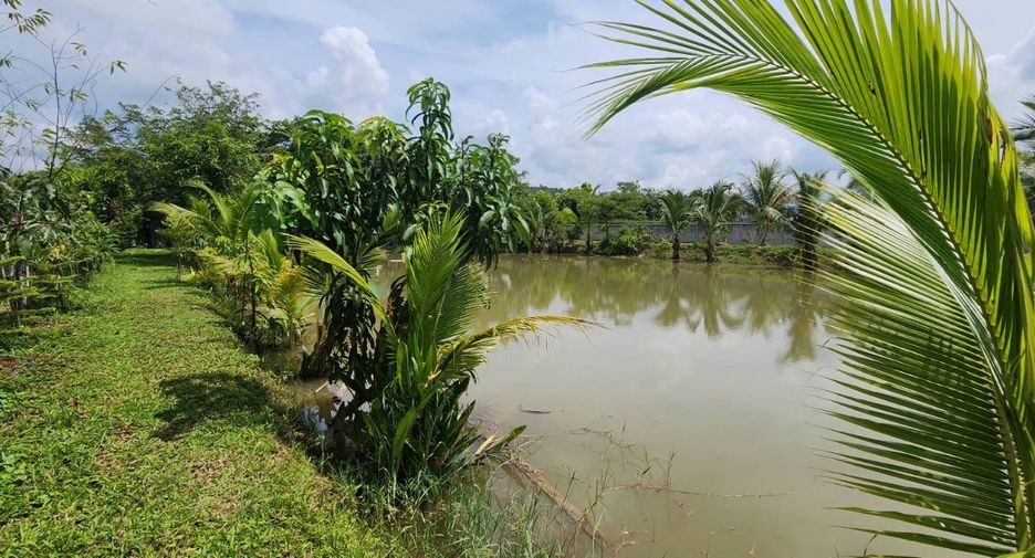 For sale land in Doi Saket, Chiang Mai
