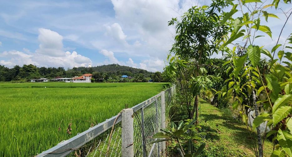 For sale land in Doi Saket, Chiang Mai