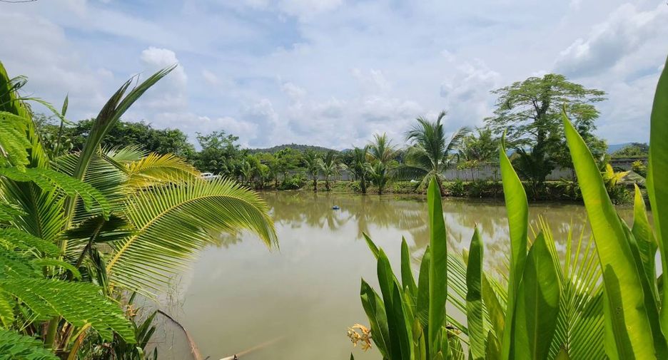 For sale land in Doi Saket, Chiang Mai