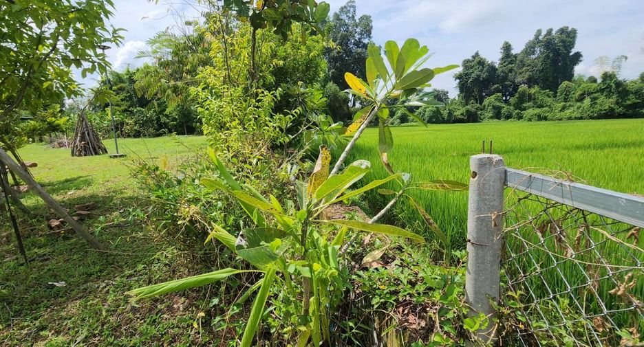 For sale land in Doi Saket, Chiang Mai