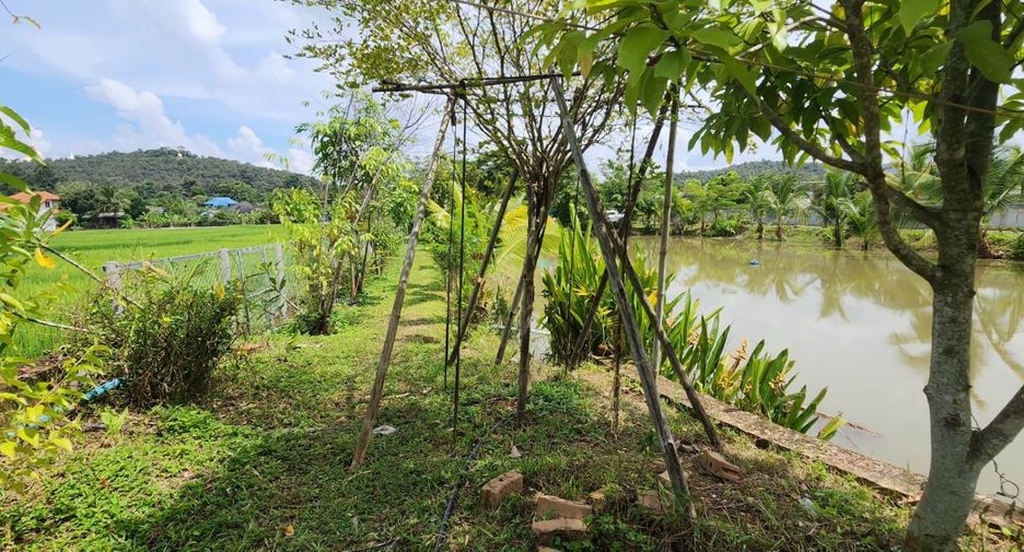 For sale land in Doi Saket, Chiang Mai