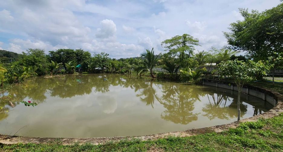 For sale land in Doi Saket, Chiang Mai