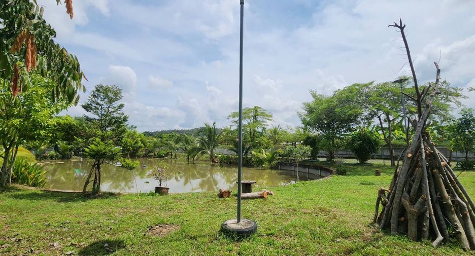 For sale land in Doi Saket, Chiang Mai