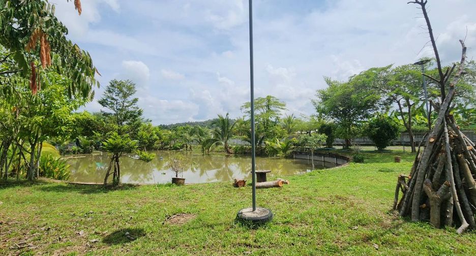 For sale land in Doi Saket, Chiang Mai