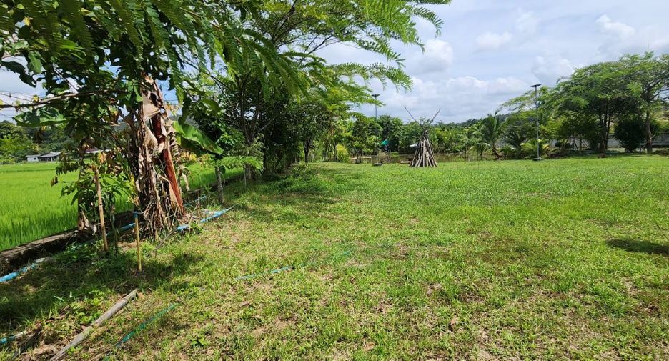 For sale land in Doi Saket, Chiang Mai