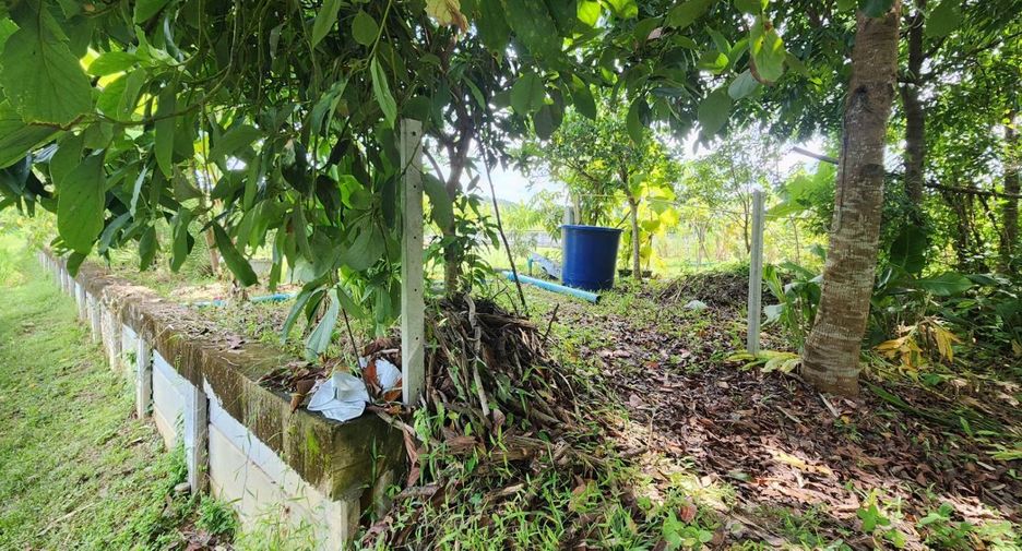 For sale land in Doi Saket, Chiang Mai