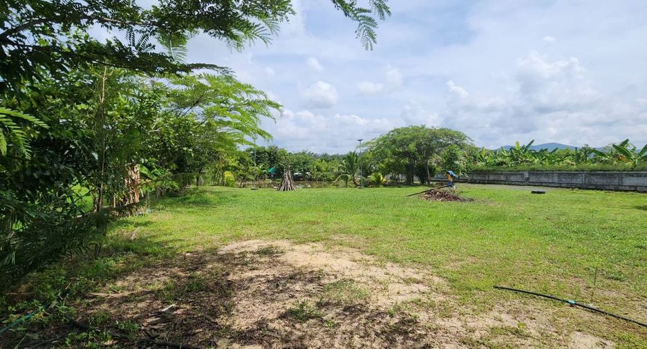 For sale land in Doi Saket, Chiang Mai