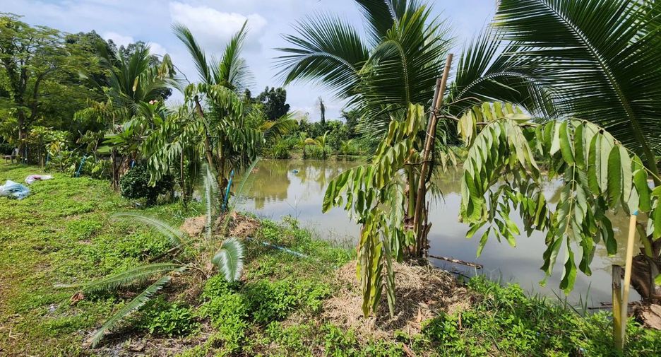 For sale land in Doi Saket, Chiang Mai