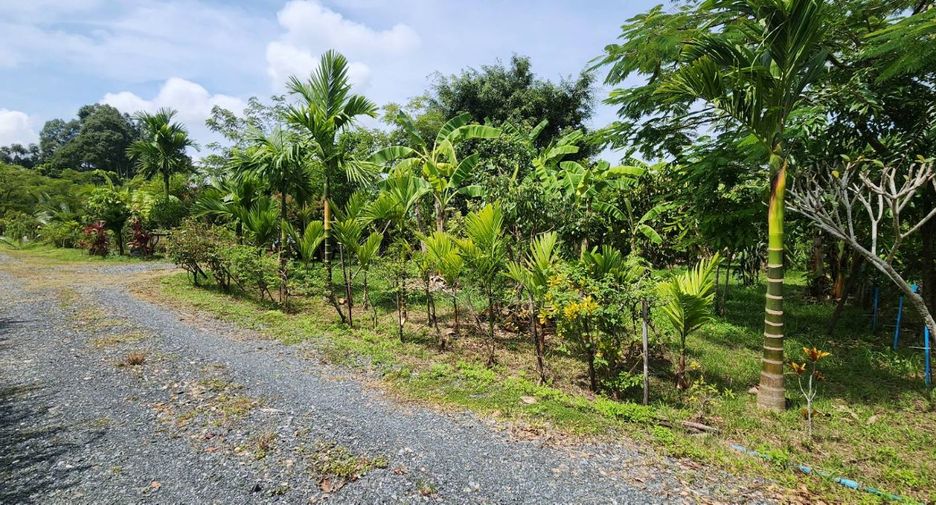 For sale land in Doi Saket, Chiang Mai