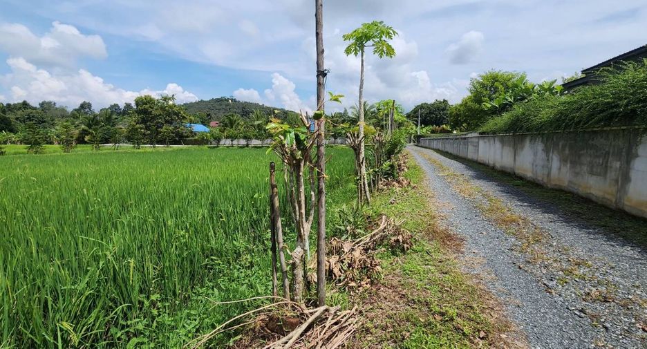 For sale land in Doi Saket, Chiang Mai
